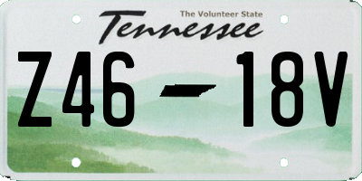 TN license plate Z4618V