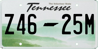 TN license plate Z4625M