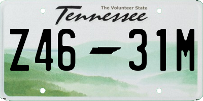 TN license plate Z4631M