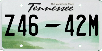 TN license plate Z4642M
