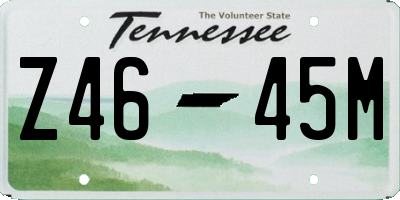 TN license plate Z4645M