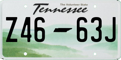 TN license plate Z4663J
