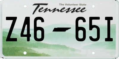 TN license plate Z4665I