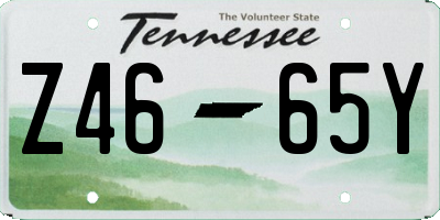TN license plate Z4665Y