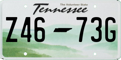 TN license plate Z4673G