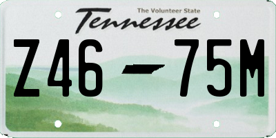 TN license plate Z4675M