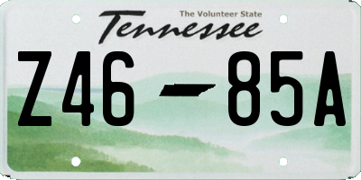 TN license plate Z4685A
