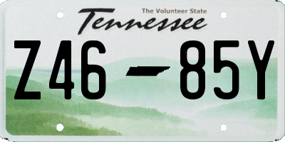 TN license plate Z4685Y