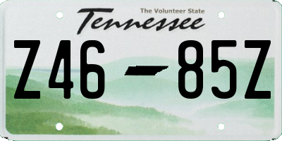 TN license plate Z4685Z