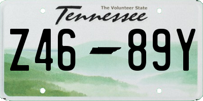 TN license plate Z4689Y