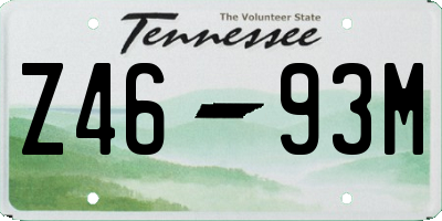 TN license plate Z4693M
