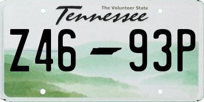 TN license plate Z4693P