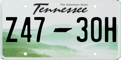 TN license plate Z4730H