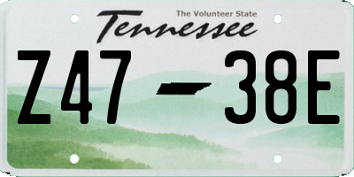 TN license plate Z4738E
