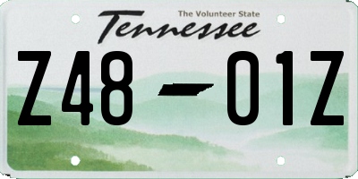 TN license plate Z4801Z