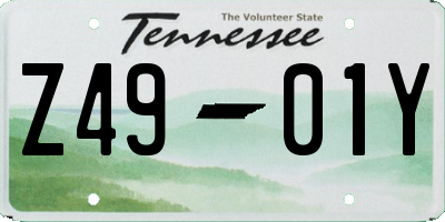 TN license plate Z4901Y
