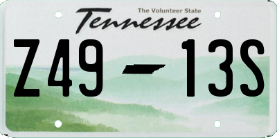 TN license plate Z4913S