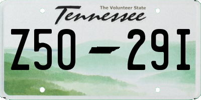 TN license plate Z5029I