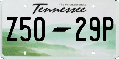TN license plate Z5029P