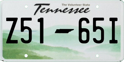TN license plate Z5165I