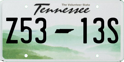 TN license plate Z5313S