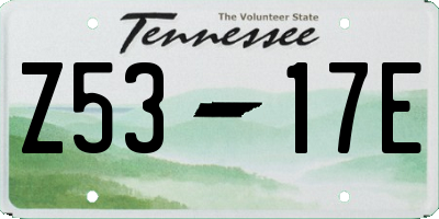 TN license plate Z5317E