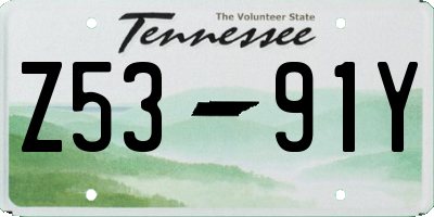TN license plate Z5391Y