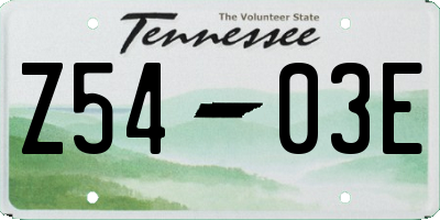 TN license plate Z5403E