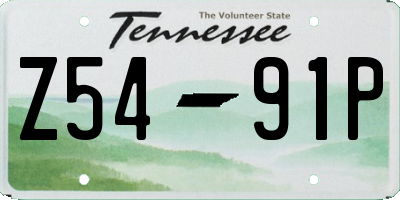 TN license plate Z5491P