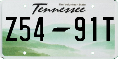 TN license plate Z5491T