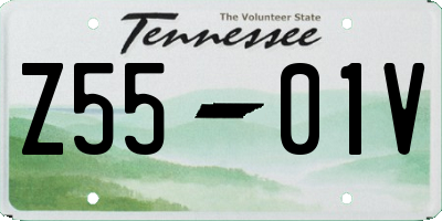 TN license plate Z5501V