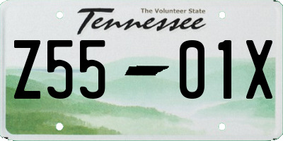 TN license plate Z5501X
