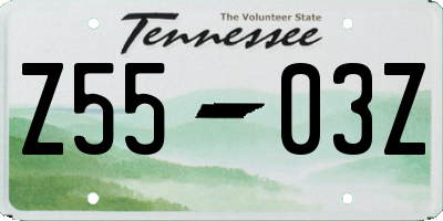 TN license plate Z5503Z