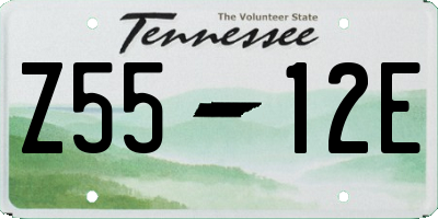 TN license plate Z5512E