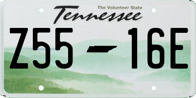 TN license plate Z5516E