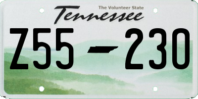 TN license plate Z5523O