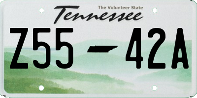 TN license plate Z5542A