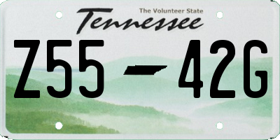 TN license plate Z5542G