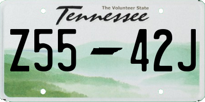 TN license plate Z5542J