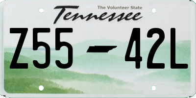 TN license plate Z5542L