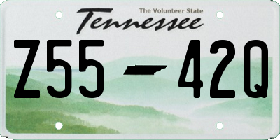 TN license plate Z5542Q