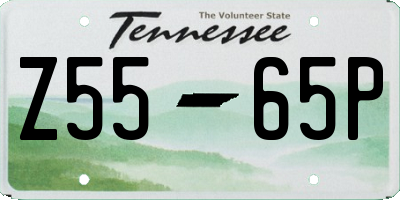 TN license plate Z5565P