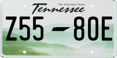 TN license plate Z5580E