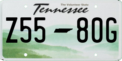 TN license plate Z5580G