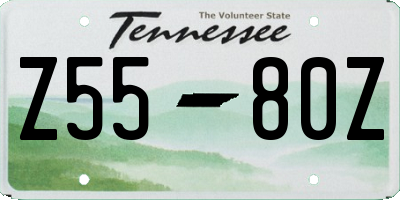 TN license plate Z5580Z