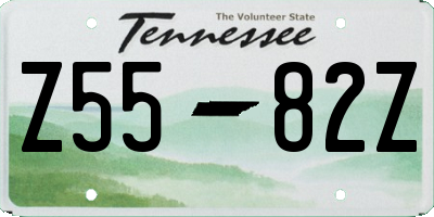 TN license plate Z5582Z