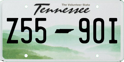TN license plate Z5590I
