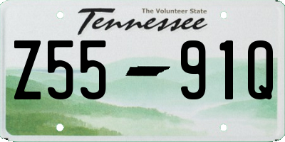 TN license plate Z5591Q