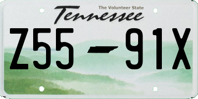 TN license plate Z5591X