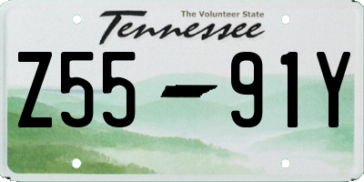 TN license plate Z5591Y